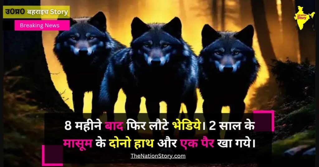 बहराइचः 08 महीने बाद फिर लौटा भेडिया। 2 साल के मासूम आयुष को उसकी मां की गोद से छीनकर मार डाला।